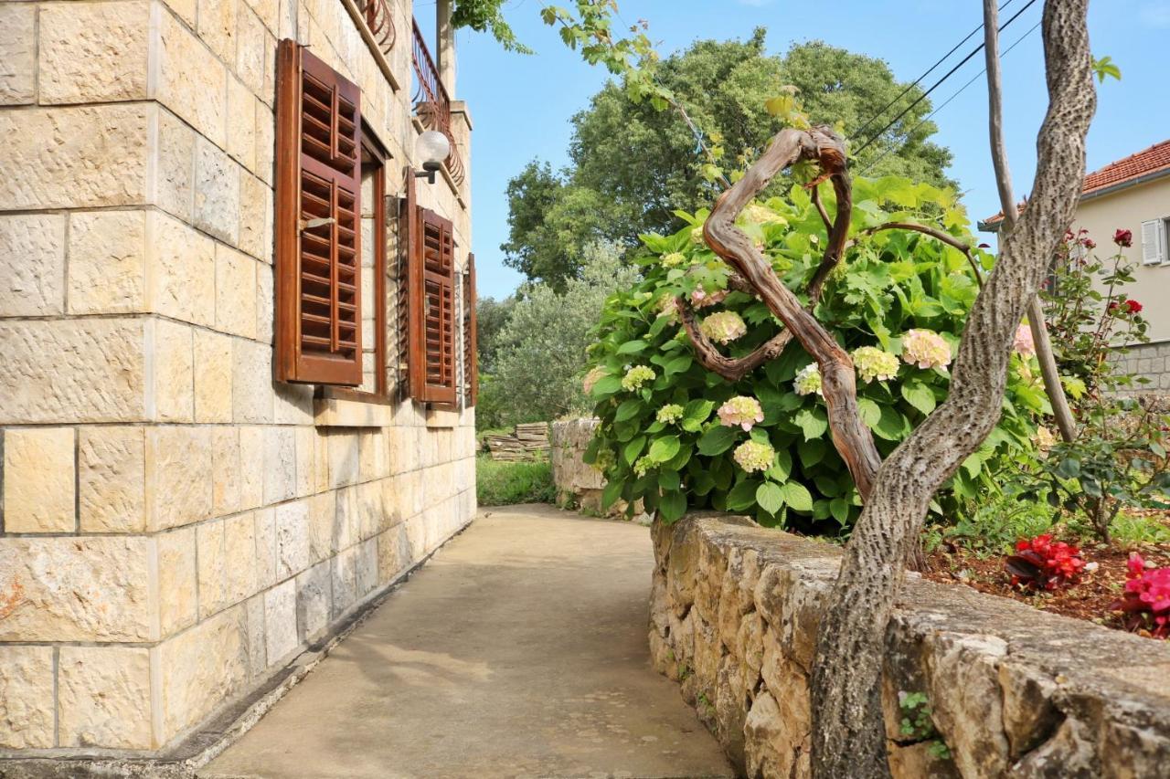 Studio Airport Dubrovnik Čilipi 外观 照片