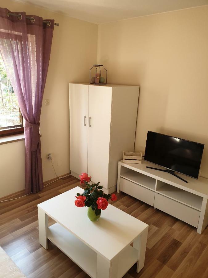 Studio Airport Dubrovnik Čilipi 外观 照片